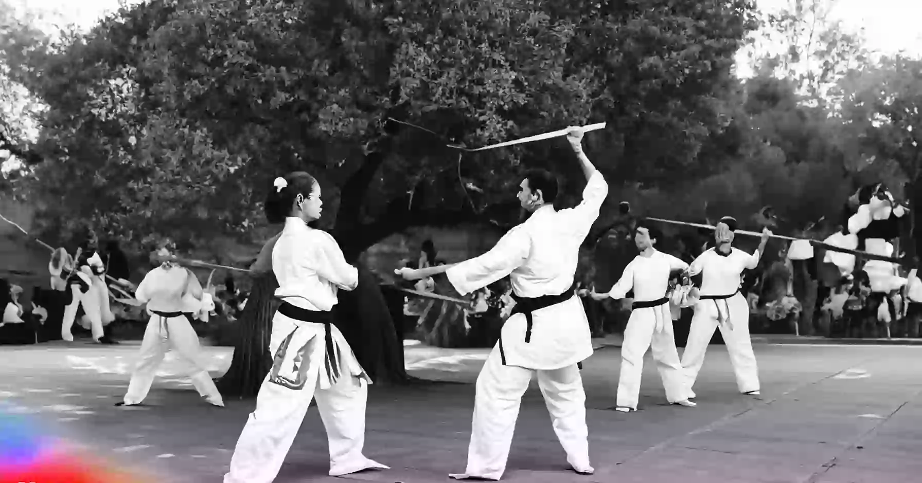 Are there any martial arts traditions in India?