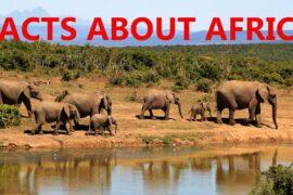 Facts About Africa
